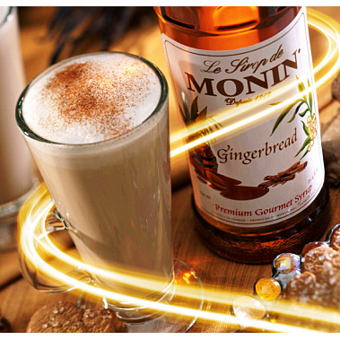 MONIN Syrup - Gingerbread Vibes
